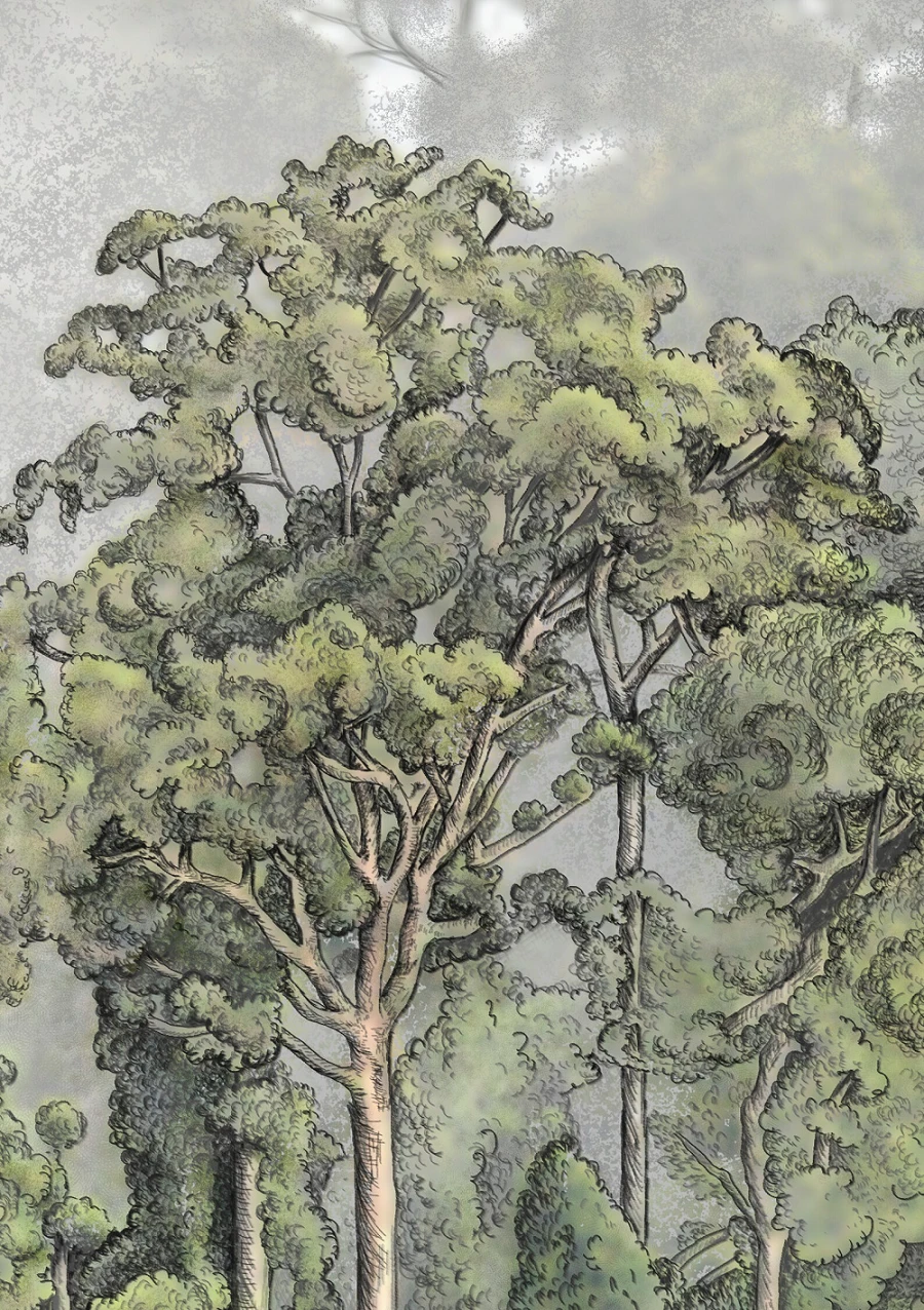 Room with a Cloud Forest Mural for Serene Interiors