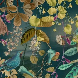 Kingfisher Kingdom