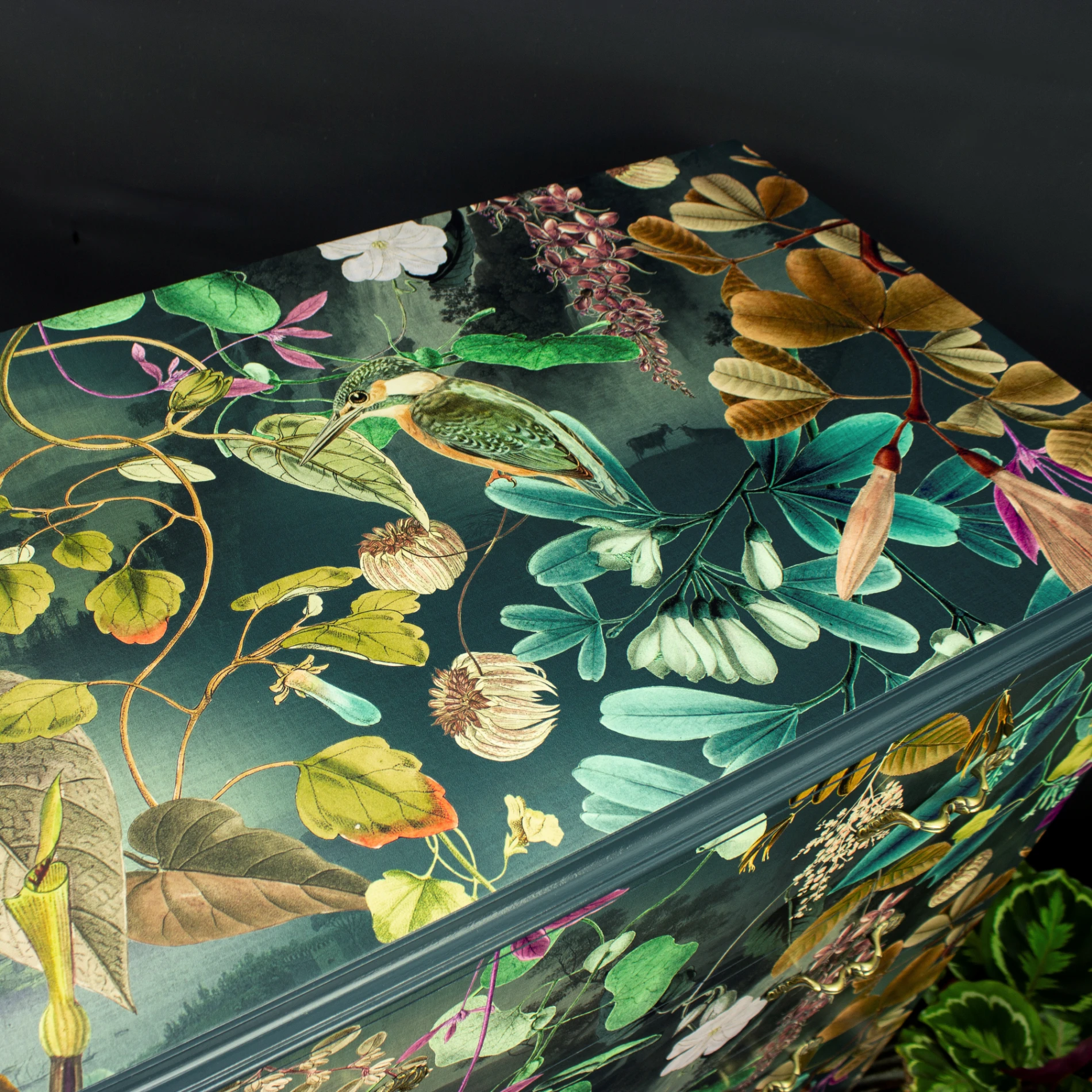 Kingfisher Kingdom luxury chest of drawers