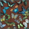 Butterfly Bliss fabric for home decor with delicate prints