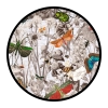 Botanical & Animals Wallpapers