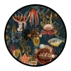 Sealife & Seaside Wallpapers