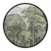 Trees & Leaves Wallpapers