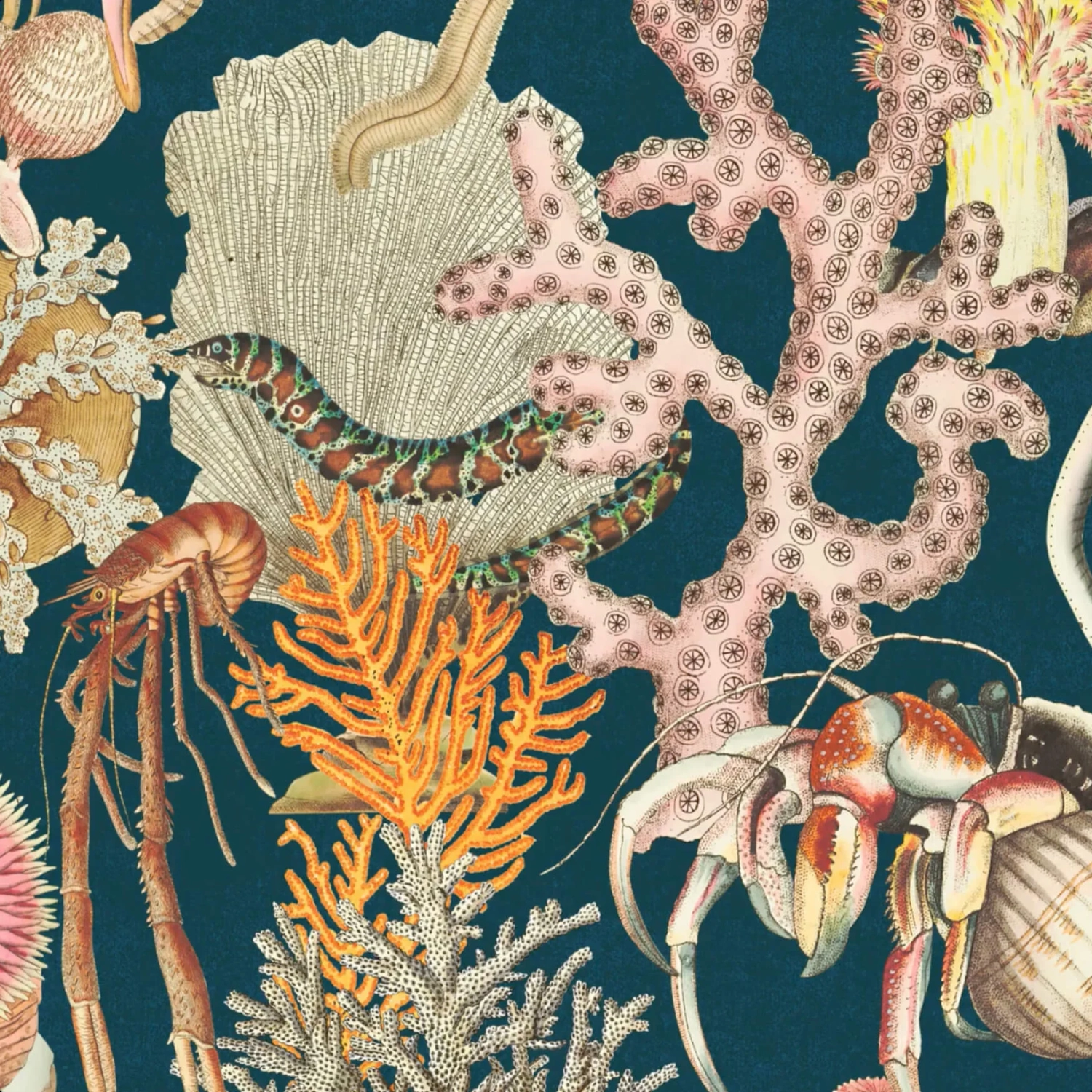 Thalassia